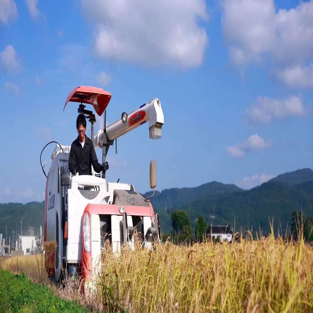 稲刈り 脱穀 乾燥 もみすり 玄米 稲ほ舎 Note