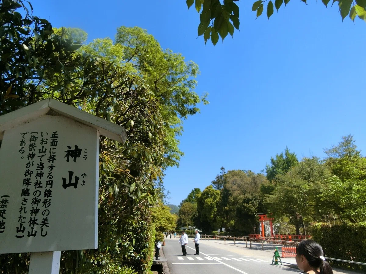画像39