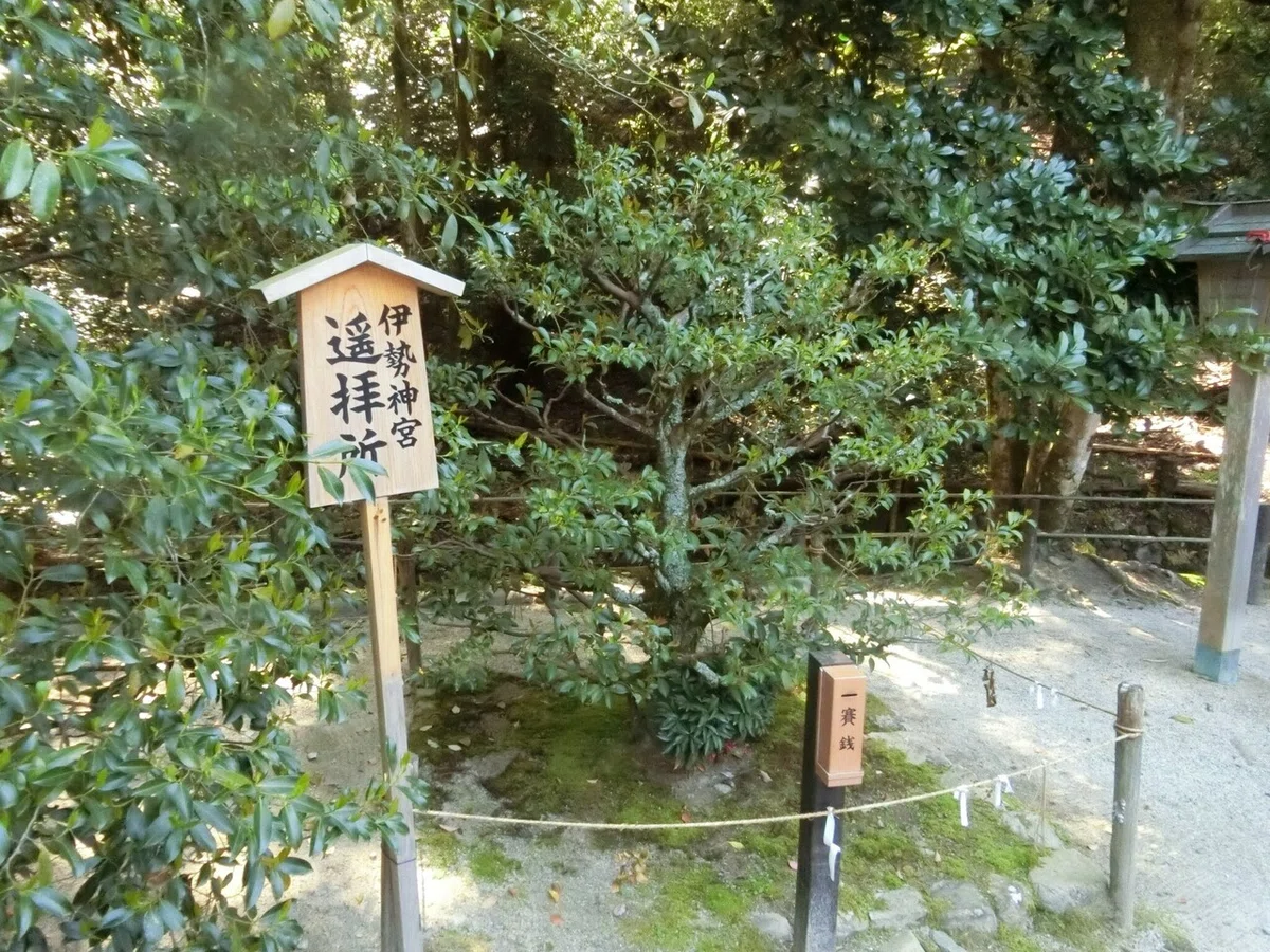 画像51