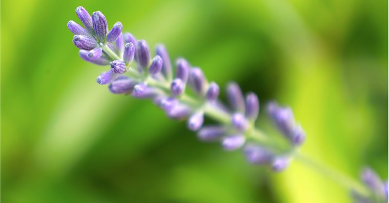 三浦綾子をまだ読んだことのないひとは是非塩狩峠から読んでみてください の新着タグ記事一覧 Note つくる つながる とどける