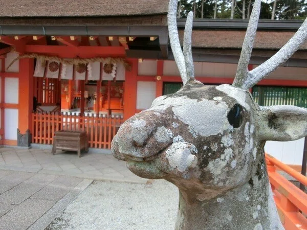 画像9