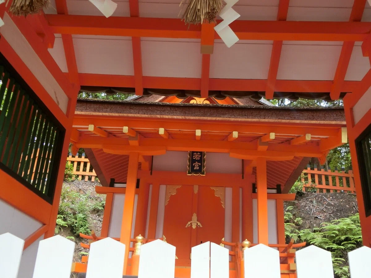 画像5
