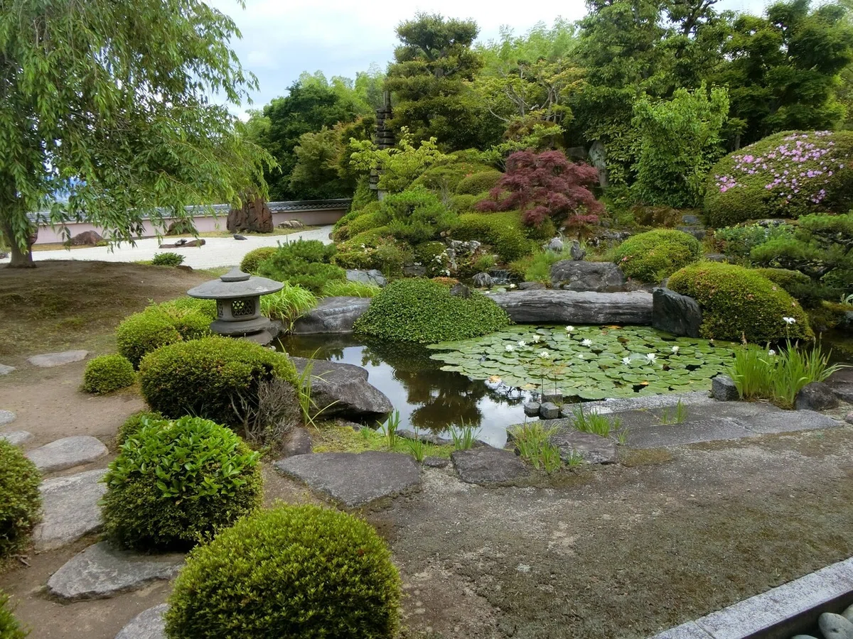 画像6