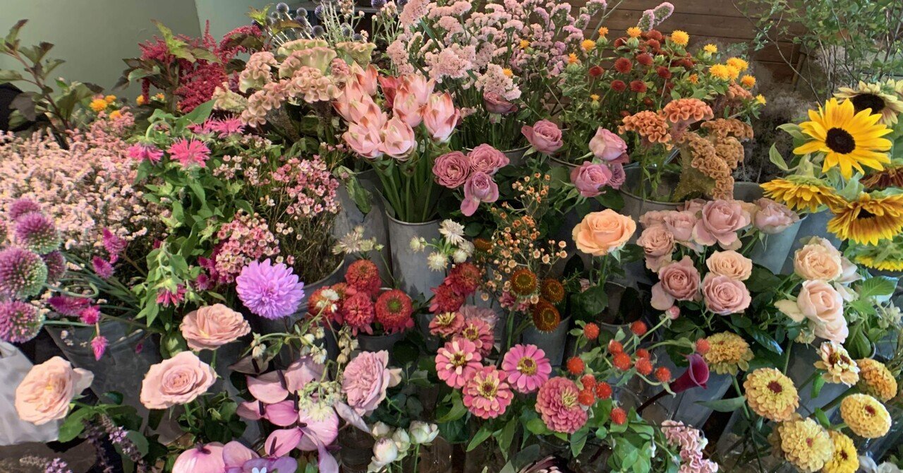 【学芸大学】The DAFFODILS 花好き💐×アメフト選手🏈