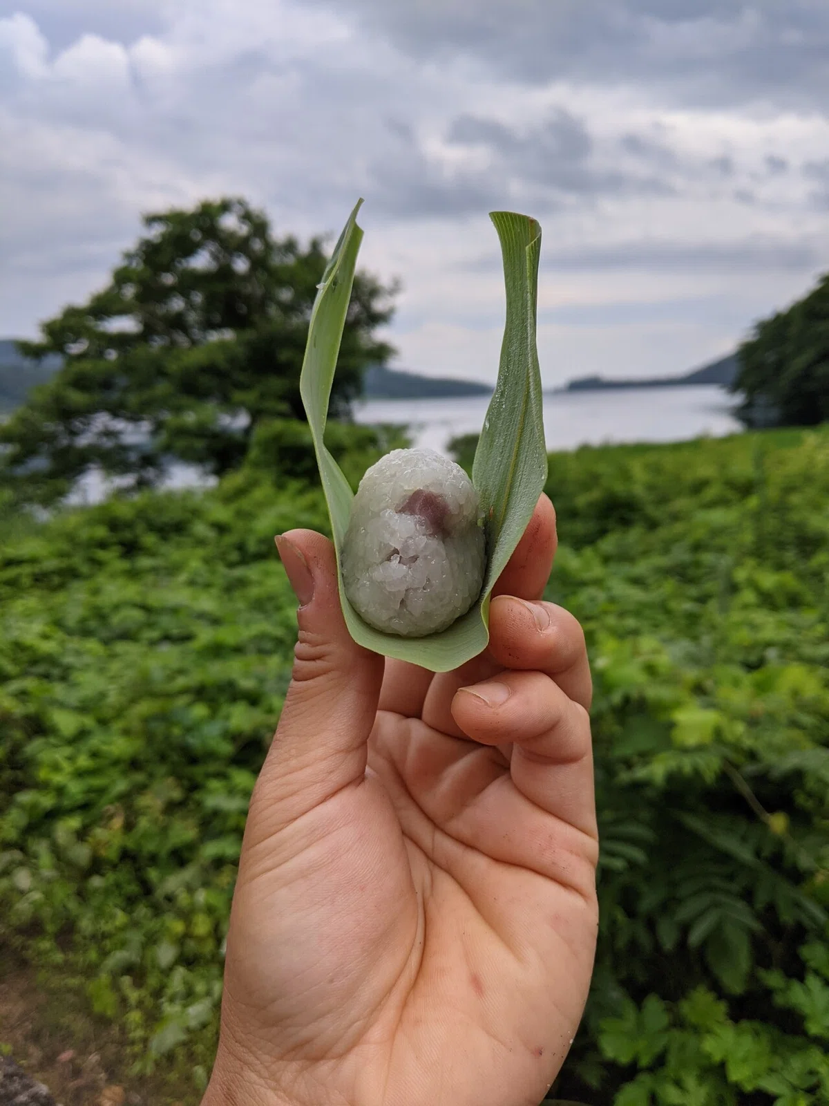 画像6