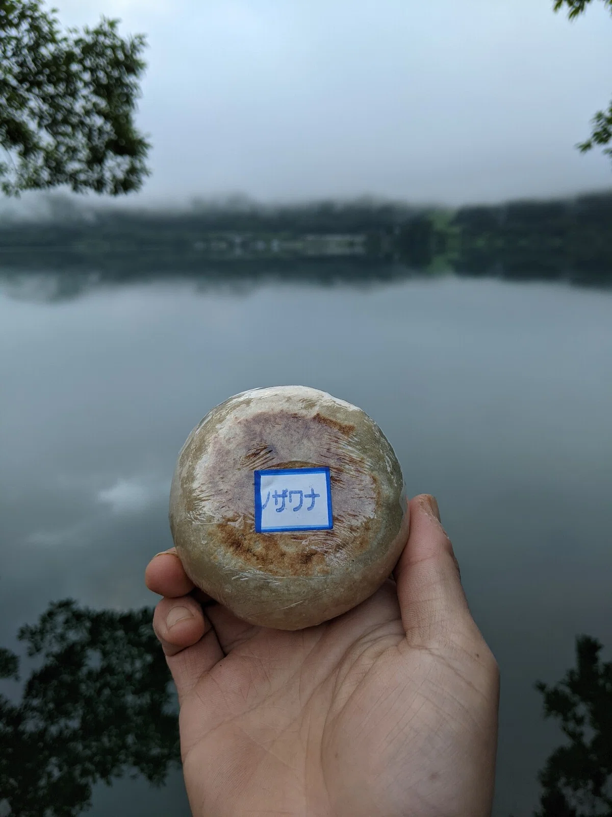 画像9
