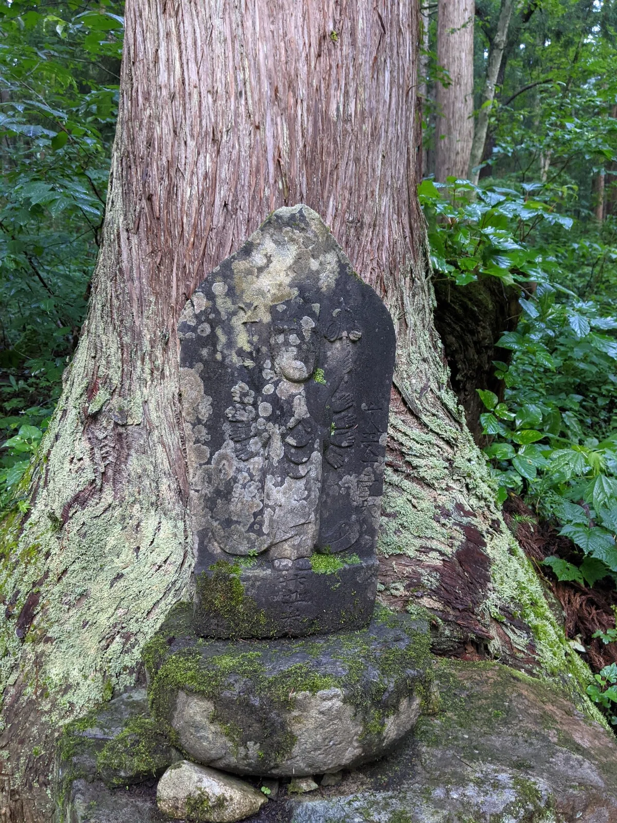 画像10