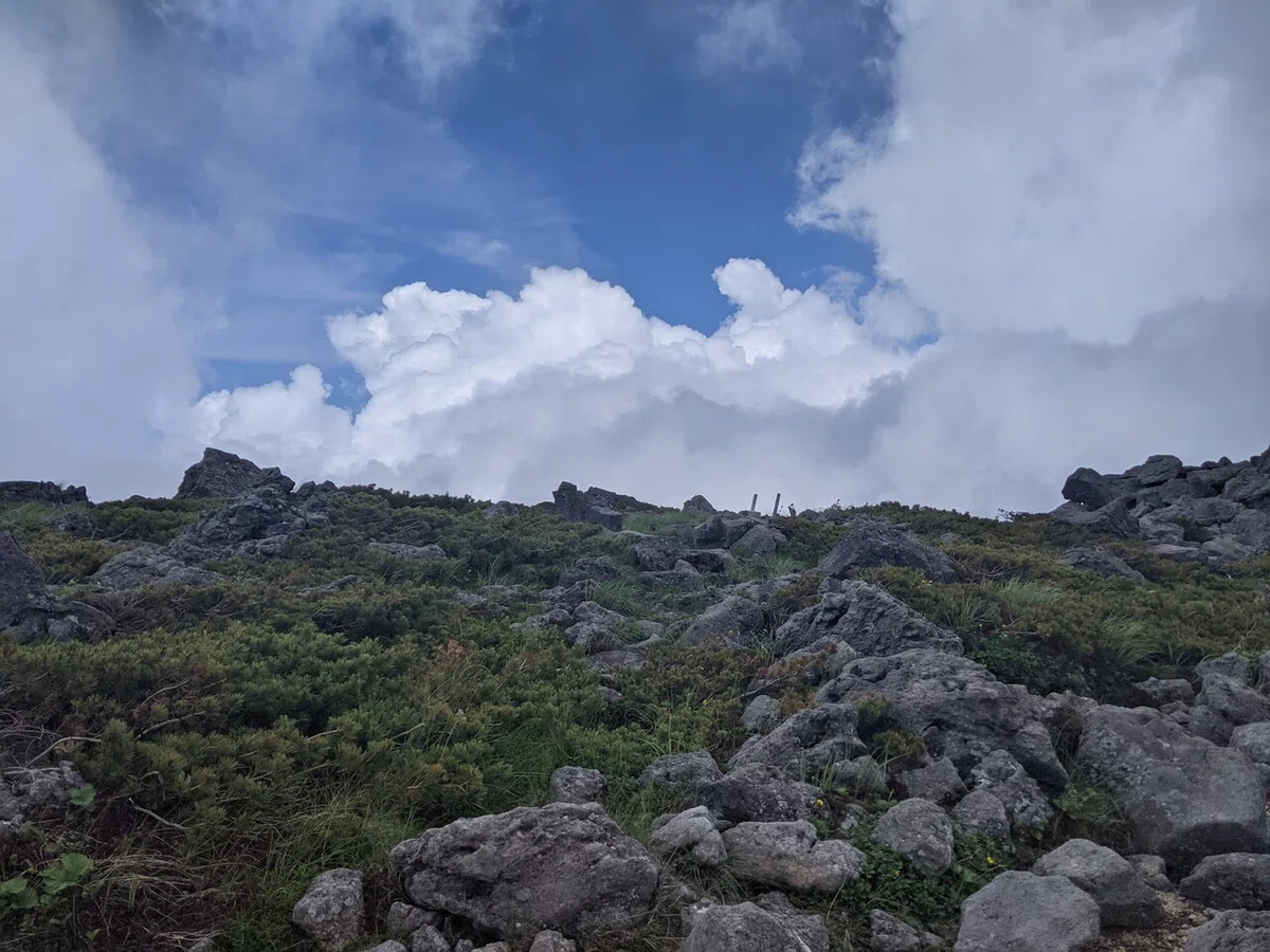 画像15