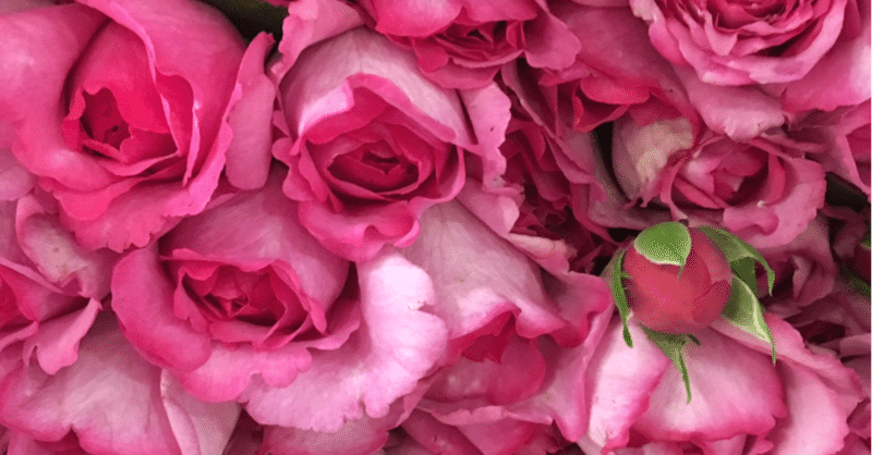 Lesson recipe- Rose bouquet①