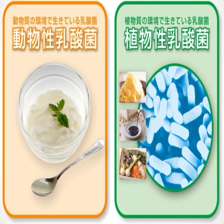 世田谷自然食品の青汁を頼んだら、DVDが付いてきた件｜シンさん｜福祉 