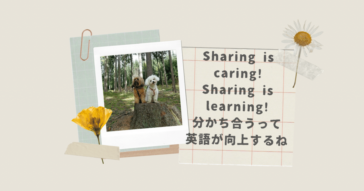Share happiness〜分かち合うって英語が向上するね〜｜Rae🌸英語小ネタ
