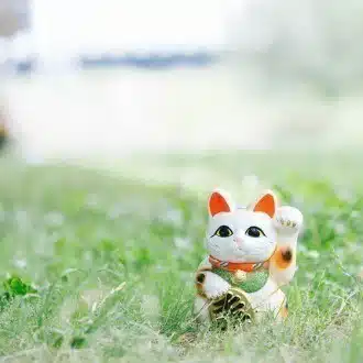 おうちごはんパートナー・ナヲ