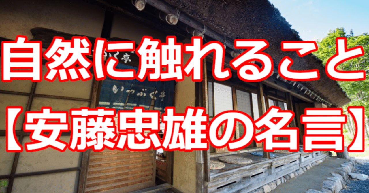 自然に触れること 安藤忠雄の名言 関野泰宏 Note 自然に触れること 安藤忠雄の名言 関野泰宏 Note