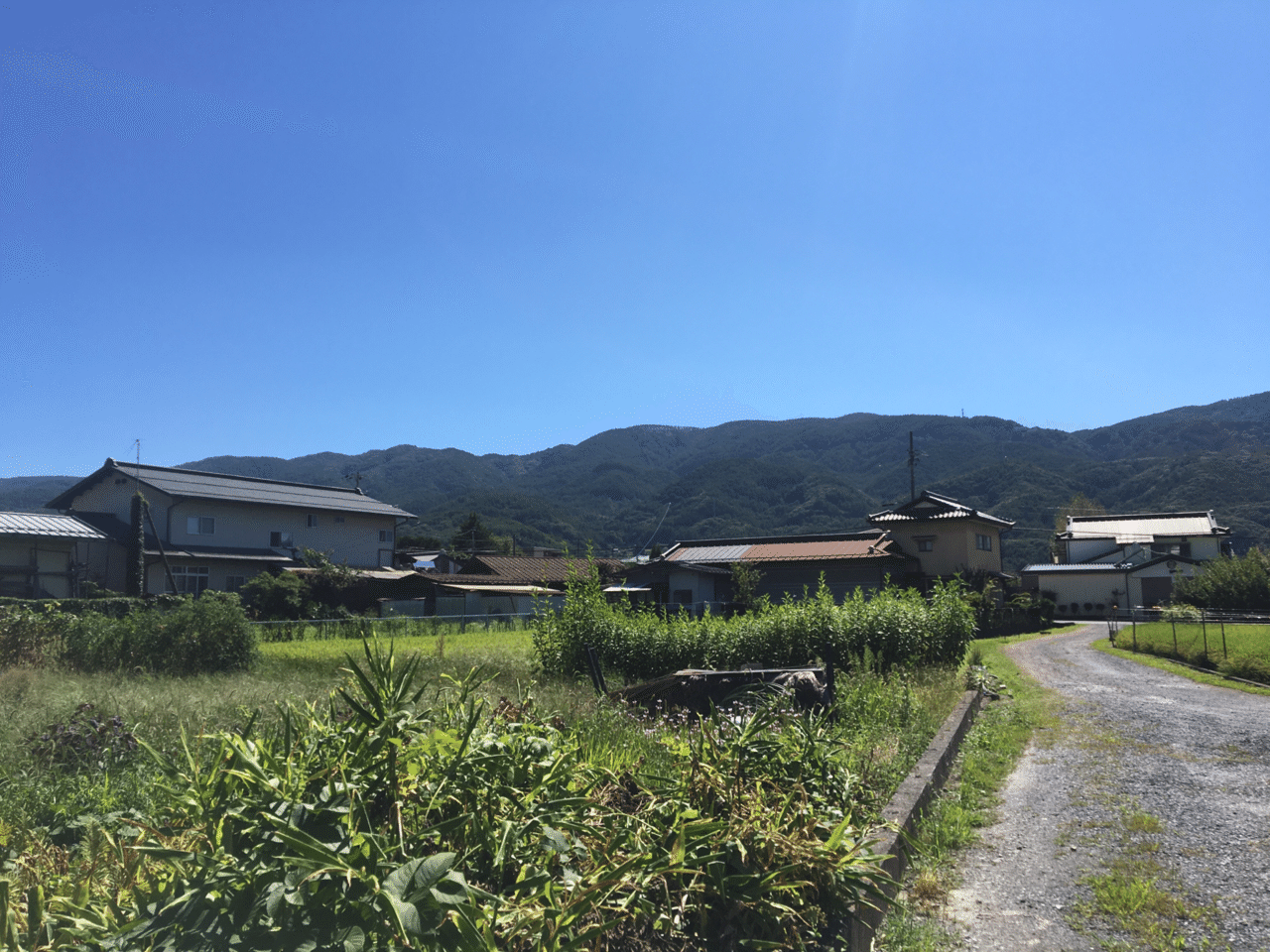 画像7