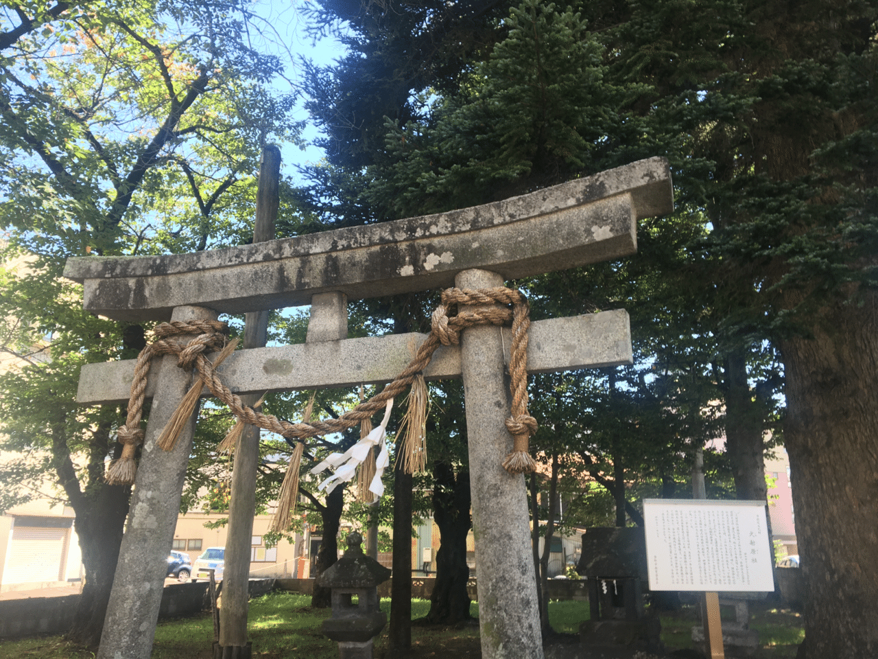 画像9