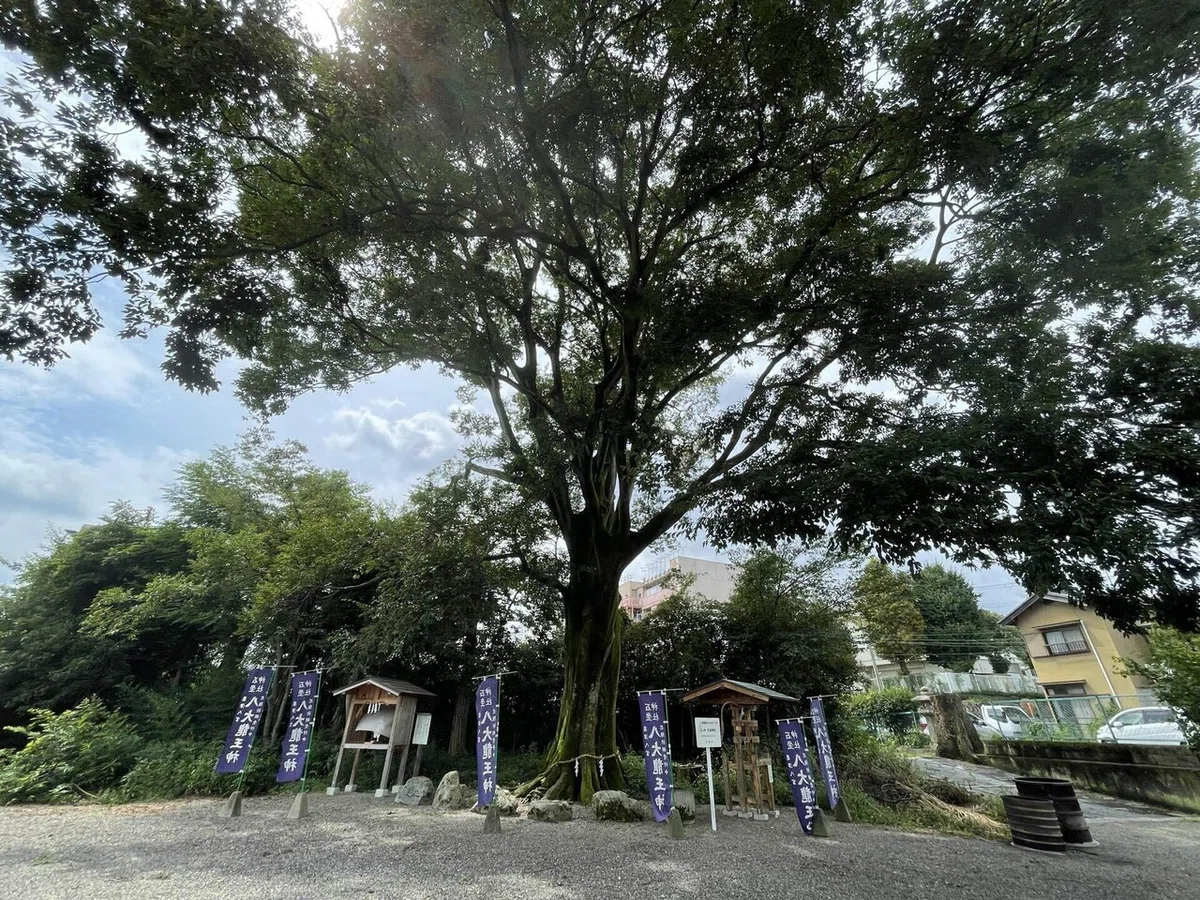 画像