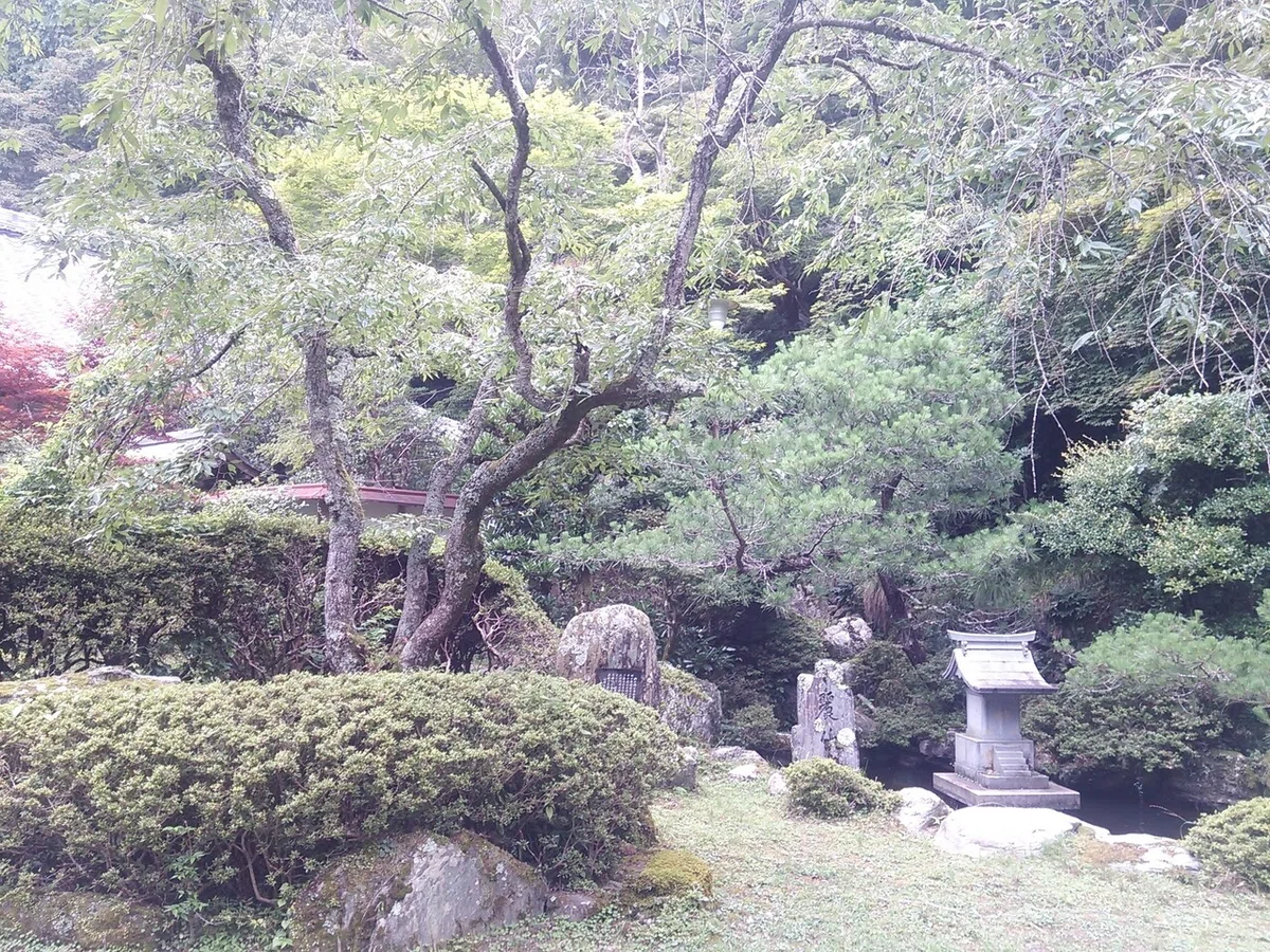 画像7