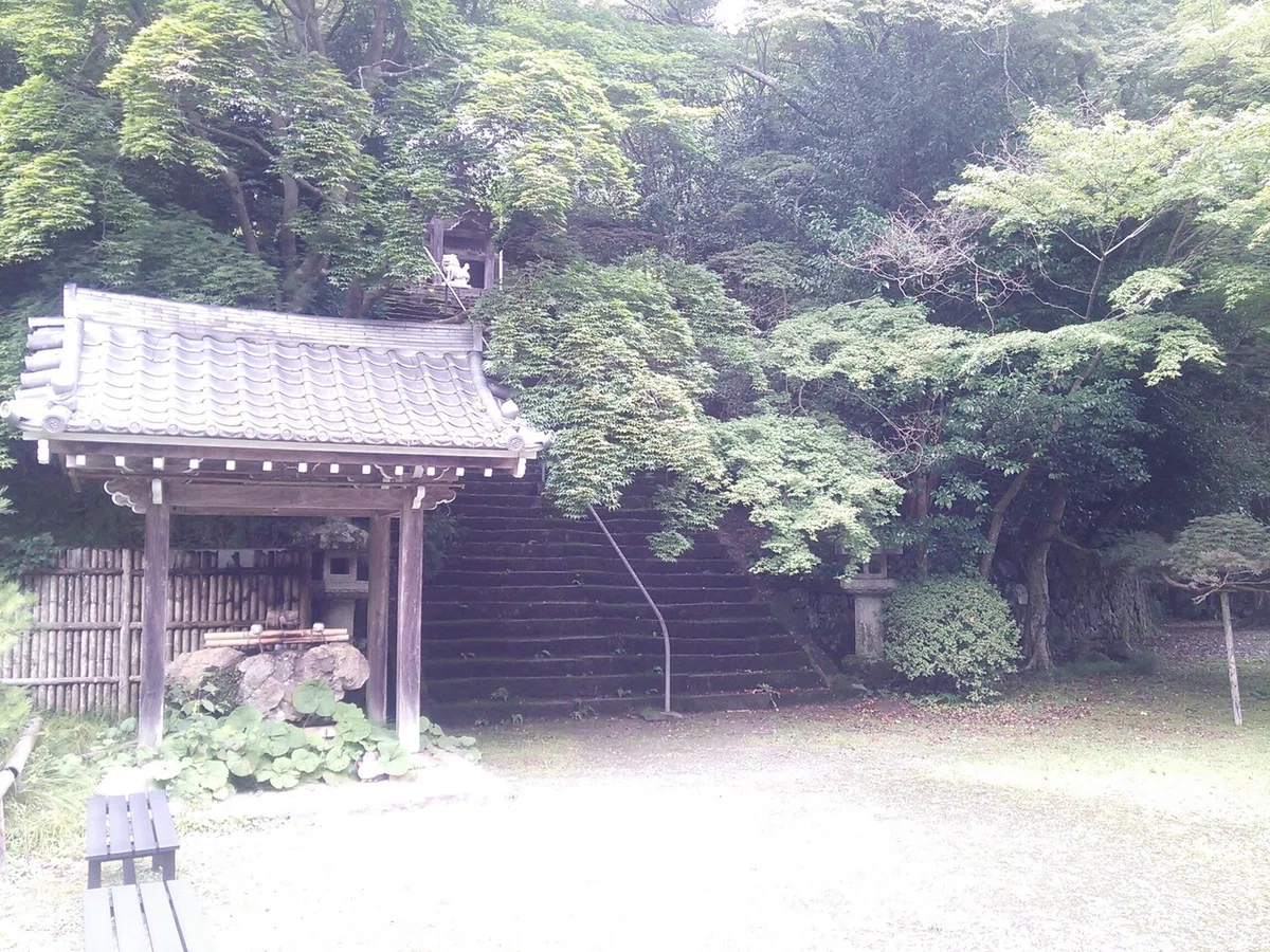 画像8