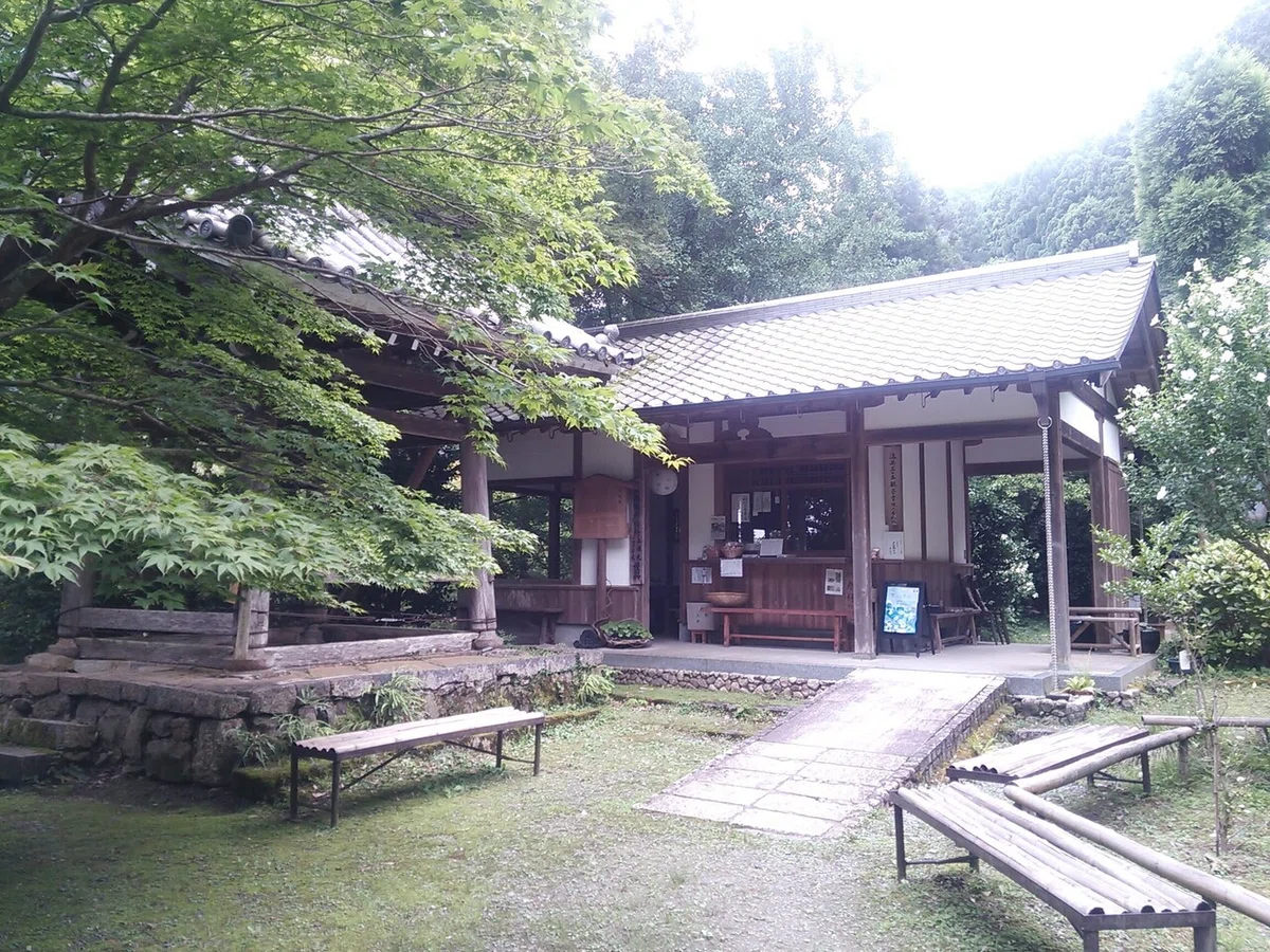 画像9