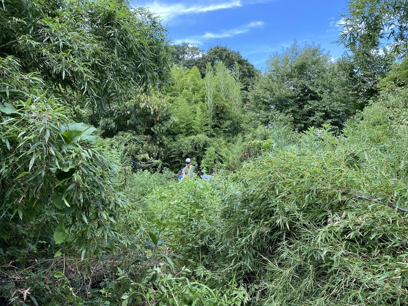 画像12を拡大表示