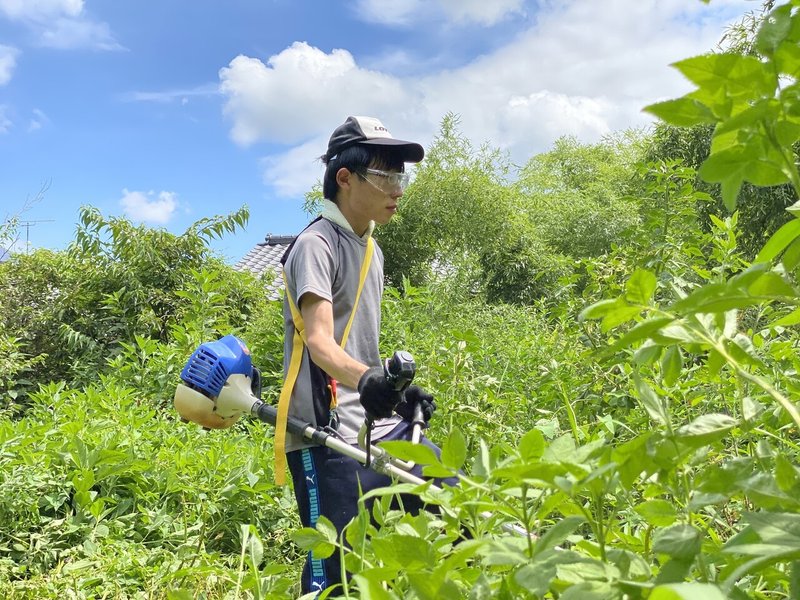 画像13を拡大表示