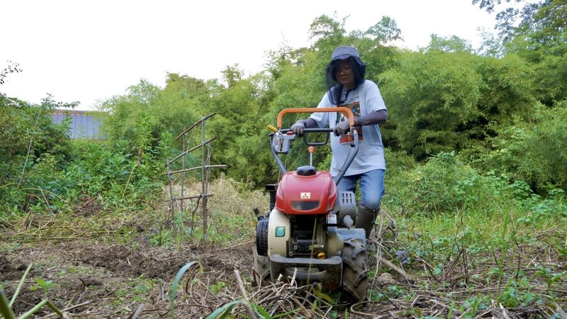 画像15を拡大表示