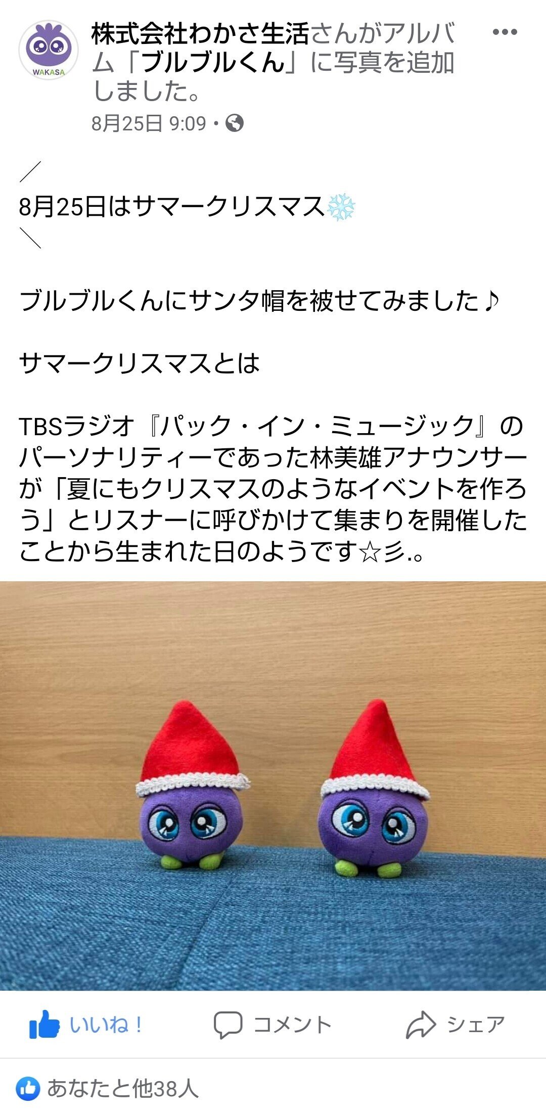 わかさ生活　サマークリスマス