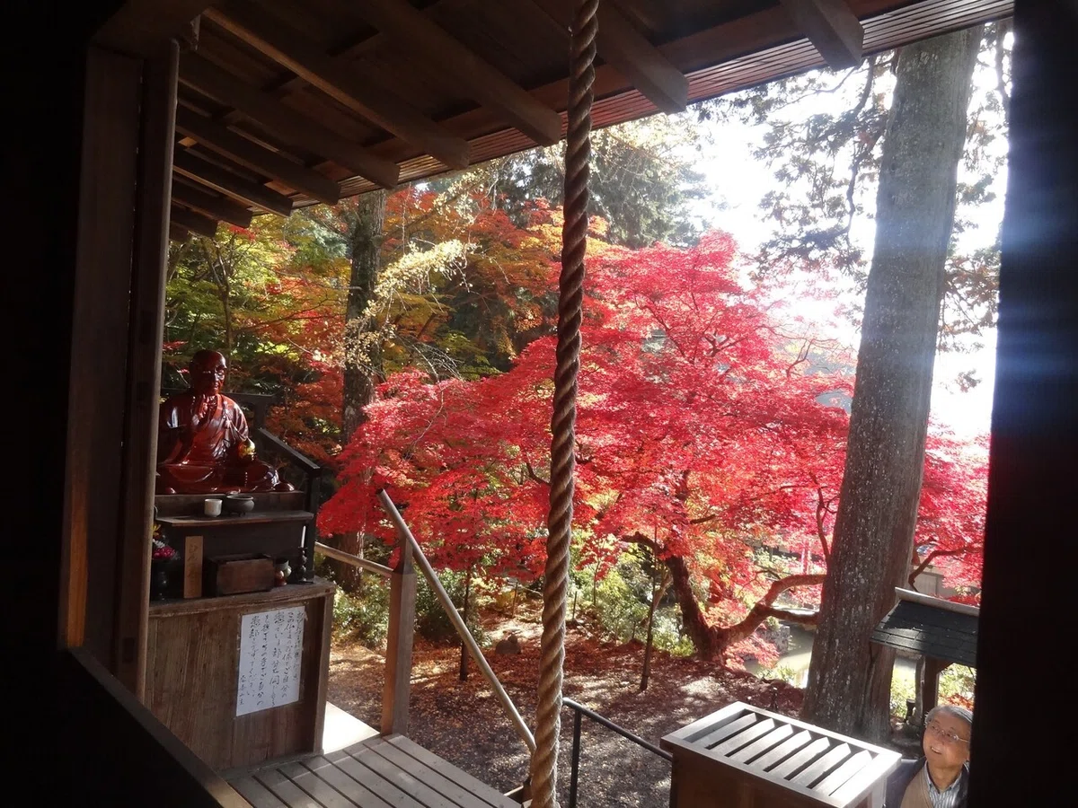 画像5