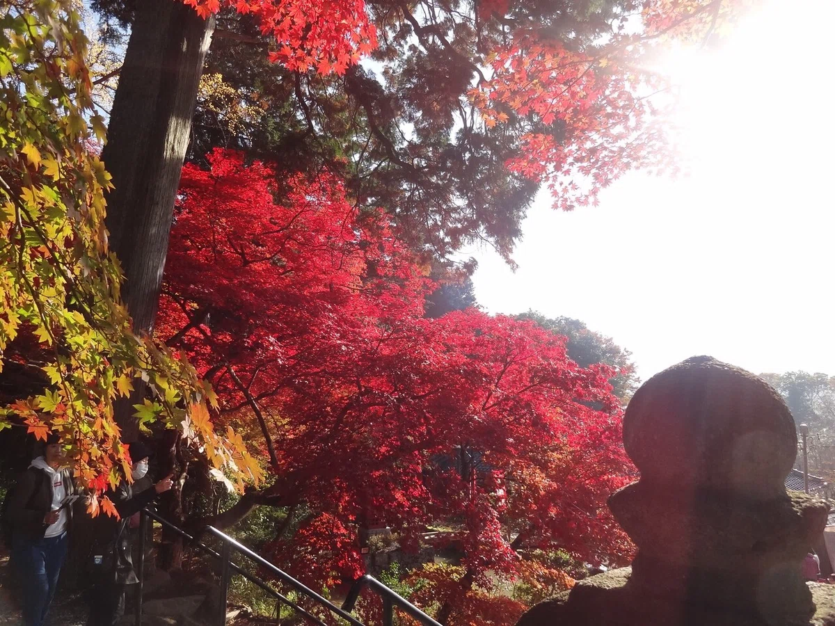 画像8