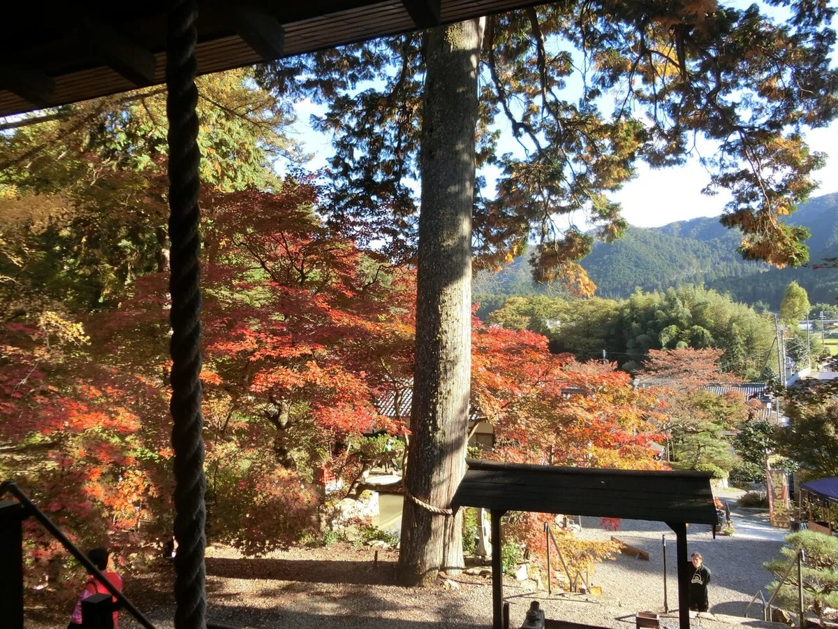 画像14
