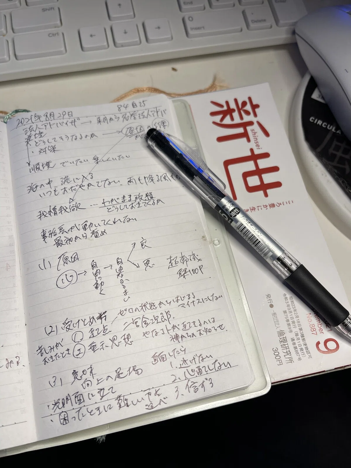 画像14