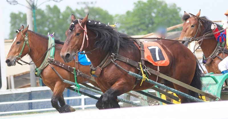 馬肉になる馬を減らすことはできるのか Suomiaaki Note 馬肉になる馬を減らすことはできるのか Suomiaaki Note
