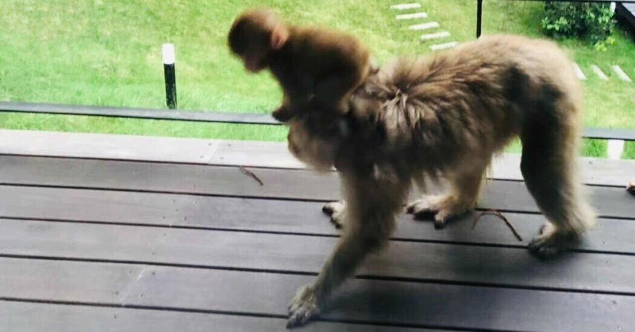 型に無理矢理押し込む Nagabot Note