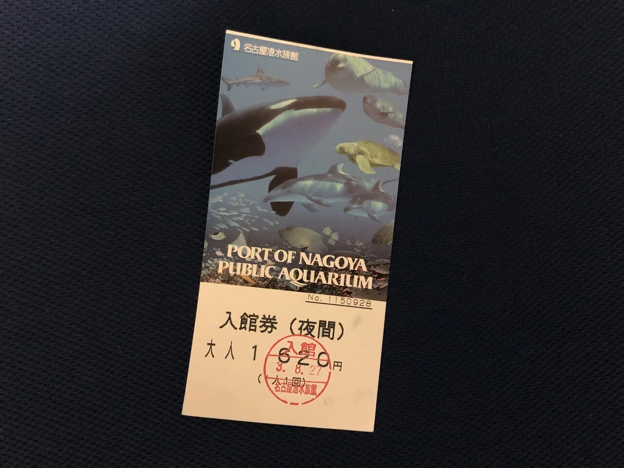 レポ#7 名古屋港水族館のサマーナイトアクアリウムに行ってきた