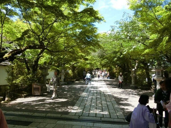 画像16
