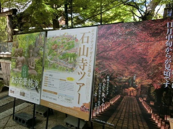 画像17