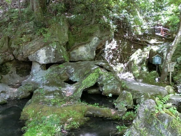 画像18