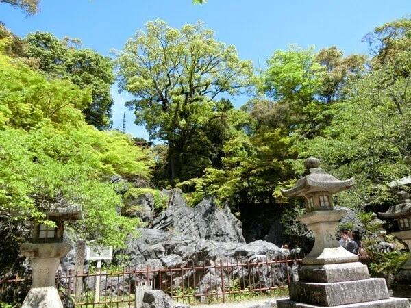 画像19