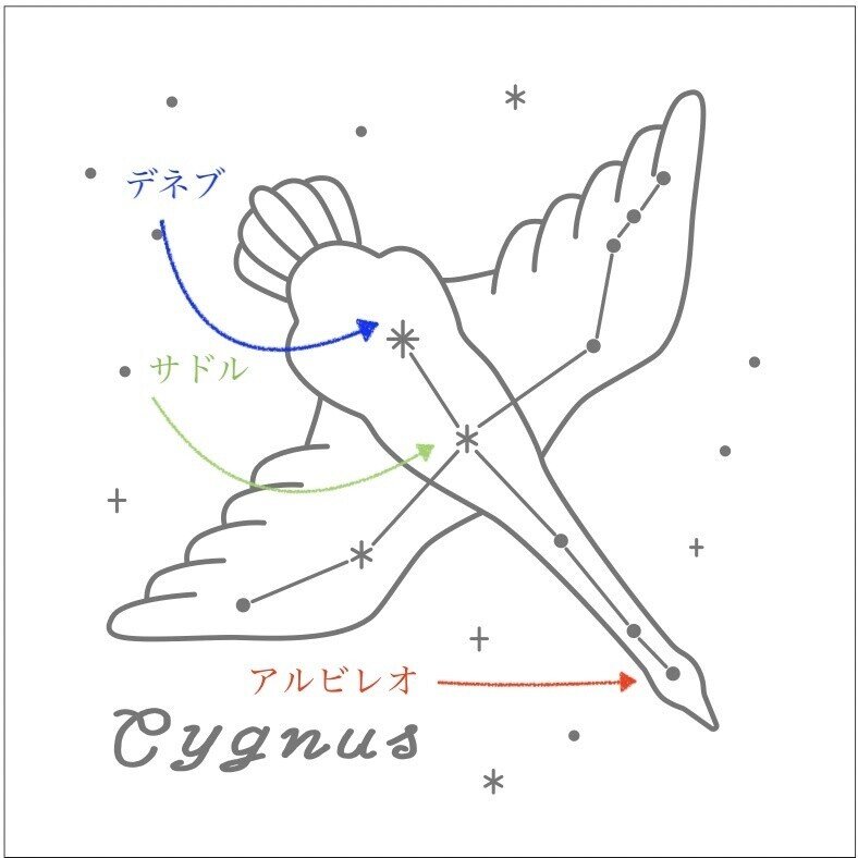 星の名前