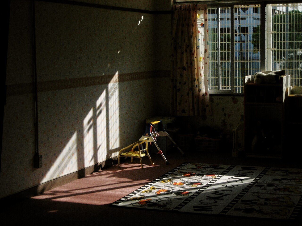 12年前、僕は写真を撮っていた【Canon IXY】|Yuki 12年前、僕は写真を撮っていた【Canon IXY】|Yuki