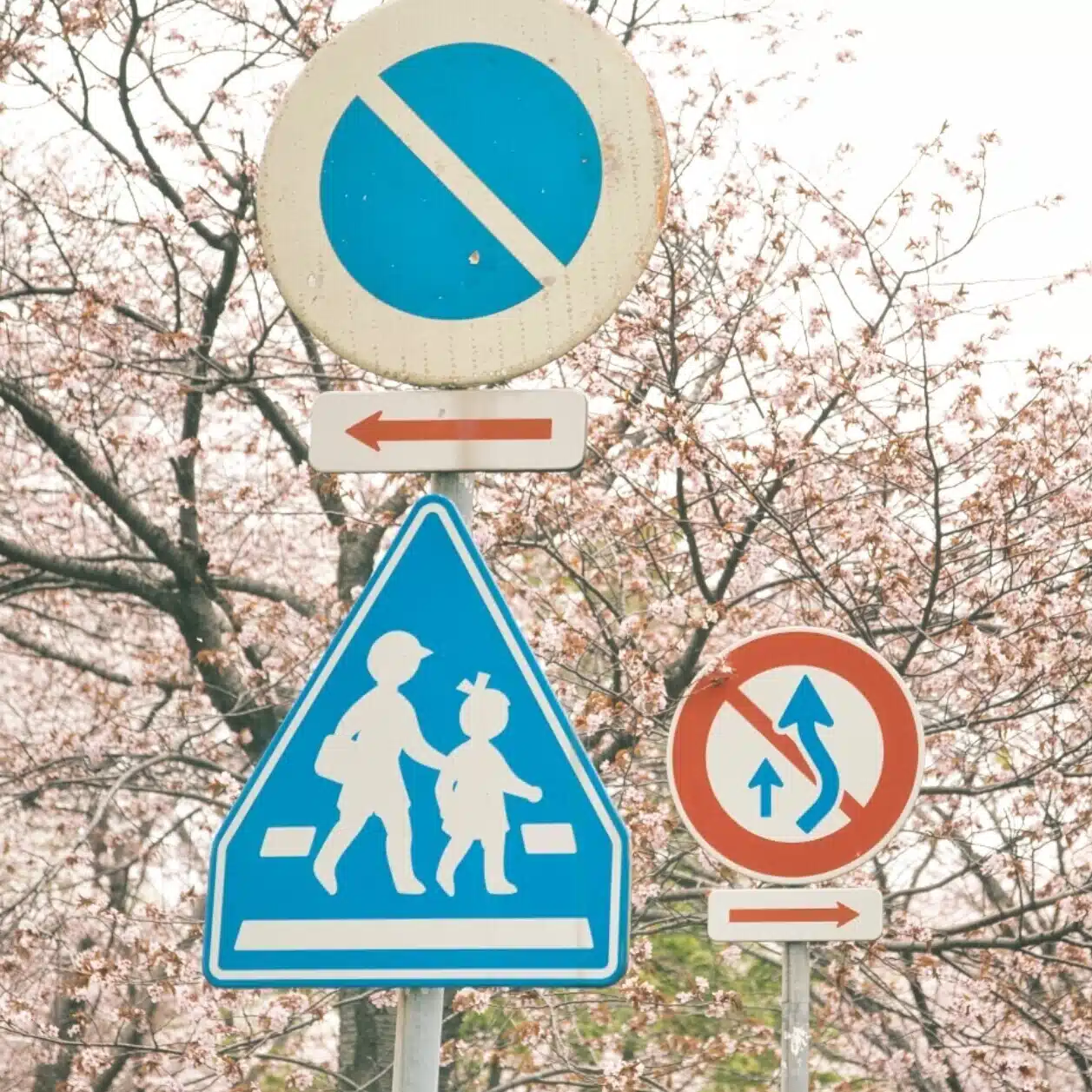 aaa
