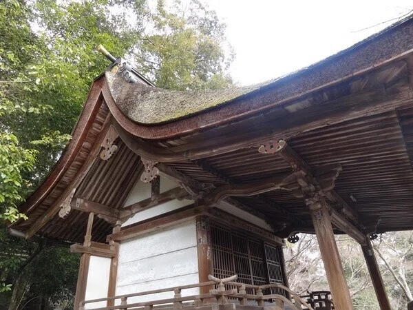 画像32