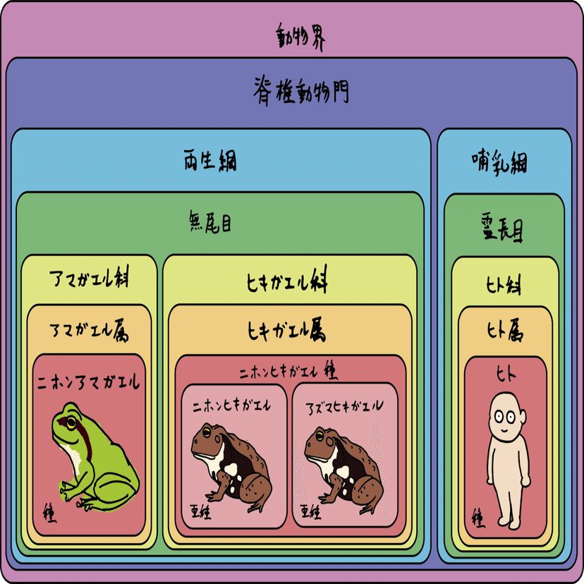 ジブリ映画 となりのトトロ で生き物観察 浜松科学館 みらいーら