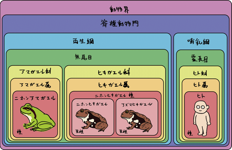 アセット 12xxxhdpi
