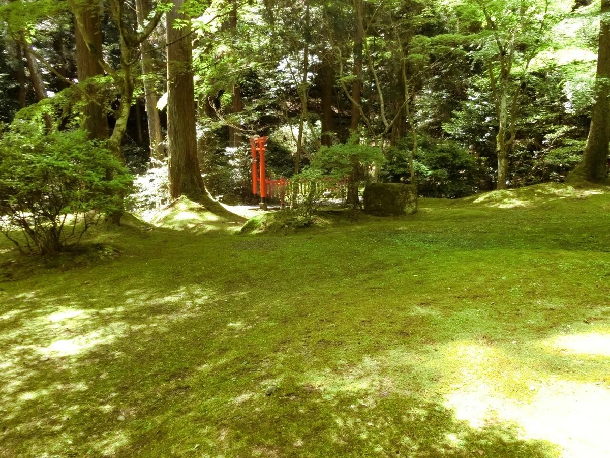 画像38