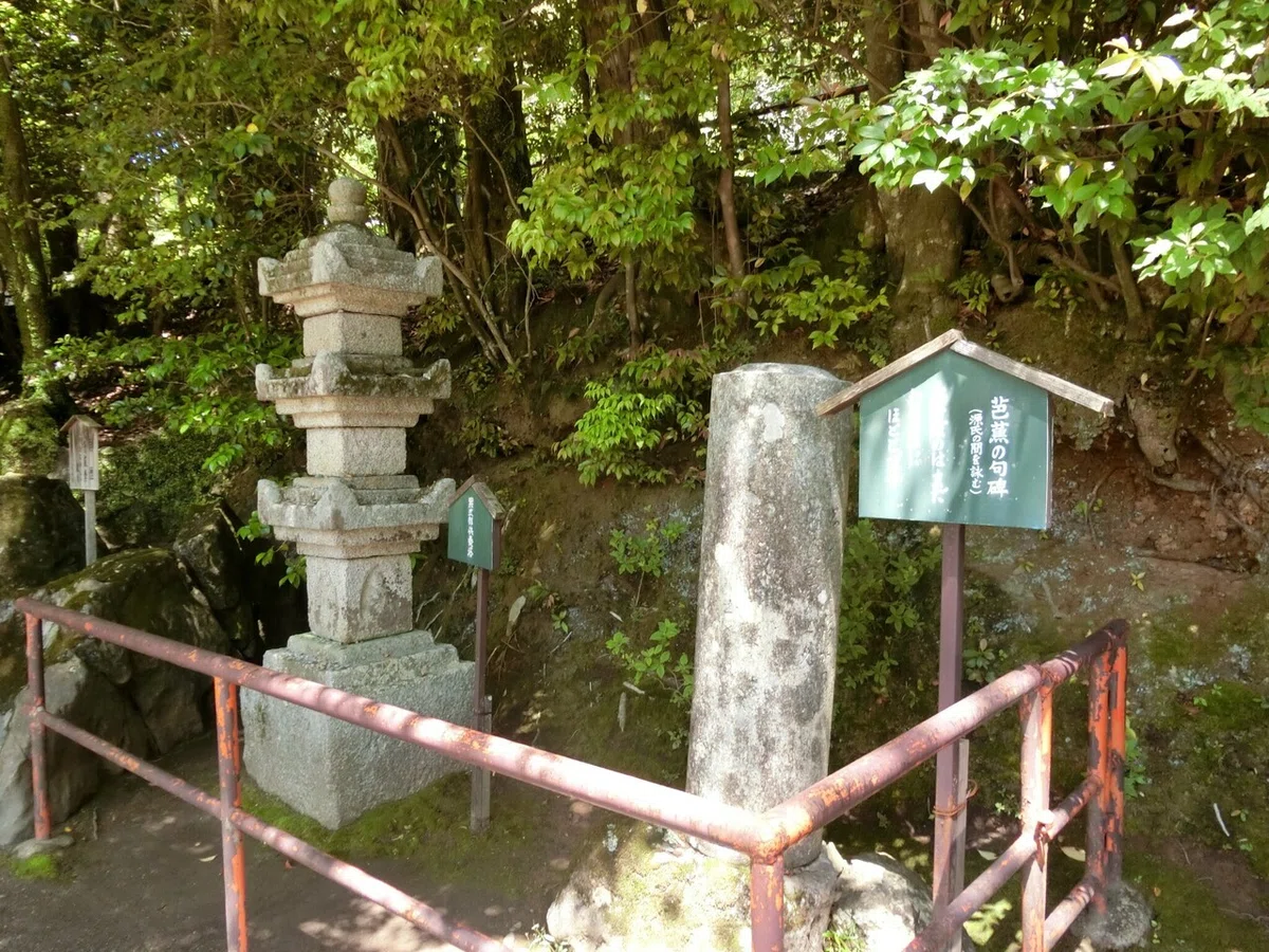 画像45