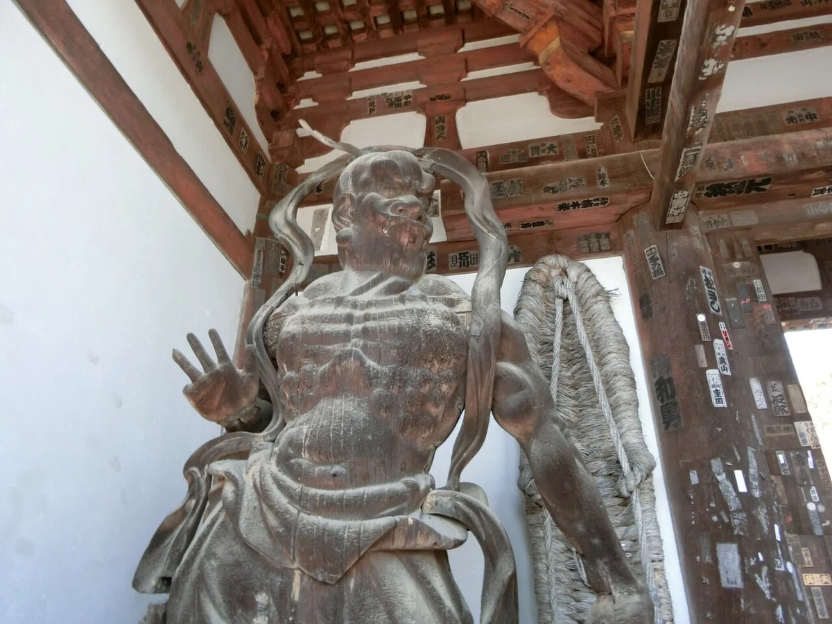 画像48
