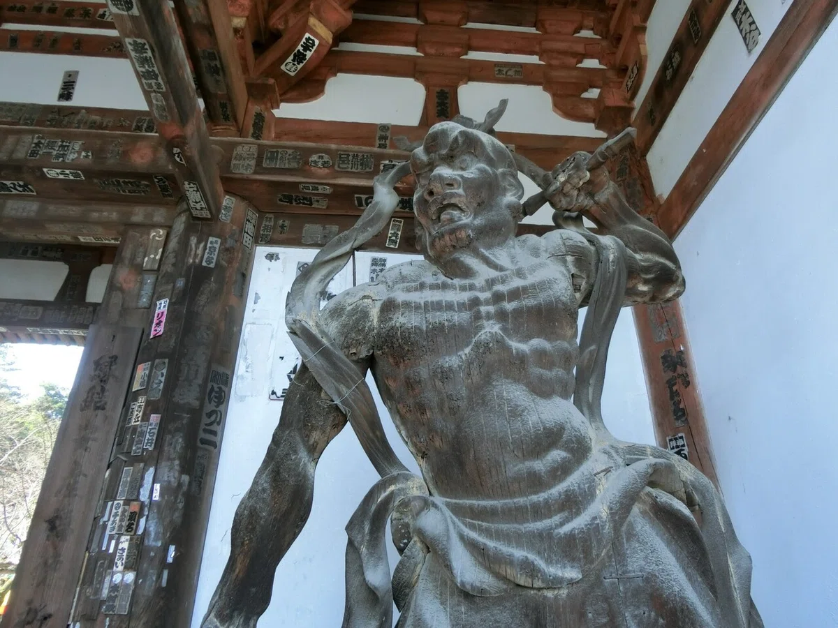 画像49