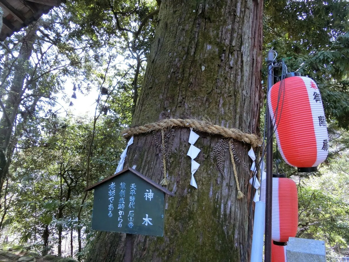 画像51