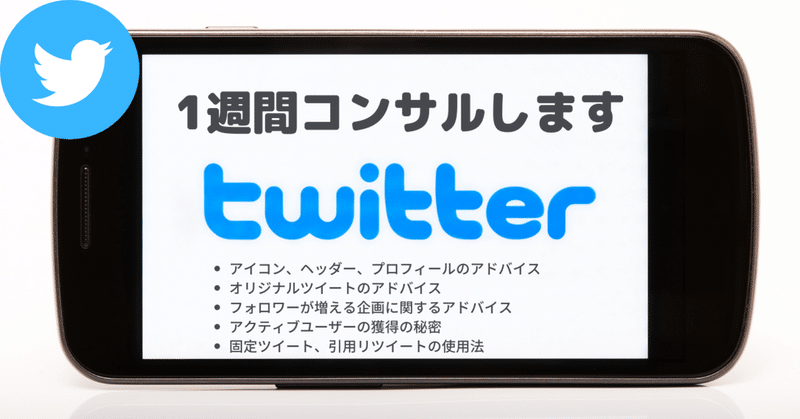 1週間 Twitterノウハウをコンサルします【Twitterの運用・集客方法に困っている方へ全力サポート】